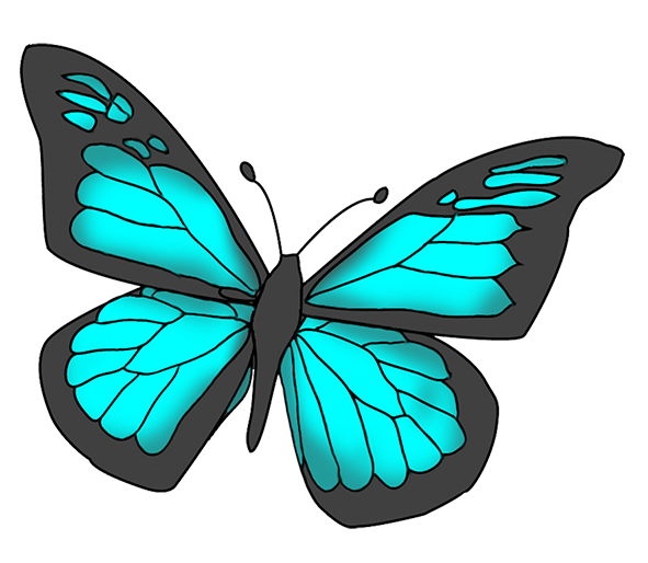 butterfly